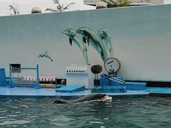 -秦皇岛新澳海底世界