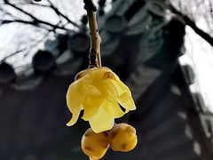 -月坛公园