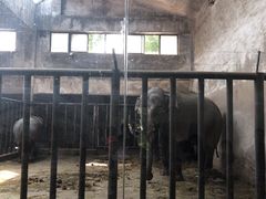 -石家庄市动物园