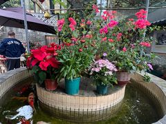 -周大娘牛乳(旧寨古村总店)