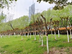 -天鹅湖体育公园