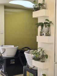 -丽时 Hair Salon