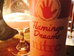 -虚荣精酿酒屋(五羊店)