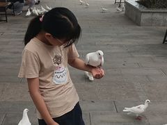 -天津妈祖文化园