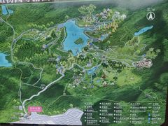 -深圳仙湖植物园