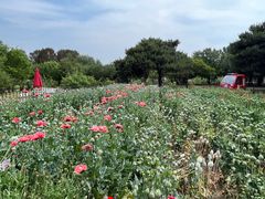 -国家植物园南园