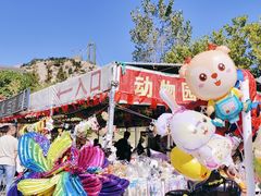 -西霞口神雕山野生动物世界