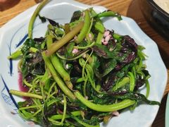 -阿巧茶庄