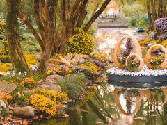 -上海共青森林公园