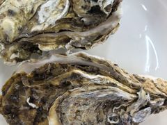 -众味海鲜大排档·活海鲜·潮汕味(南澳店)