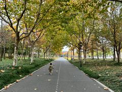 -上海山野camping·户外天幕烧烤·团建拓展营地