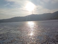 -大鹿岛