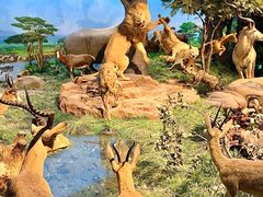 -国家自然博物馆