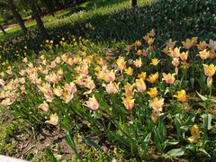 -长春公园(普阳街道)