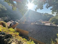 -杨家堂村