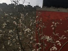 -东华门大街小区