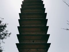 -洛阳白马寺