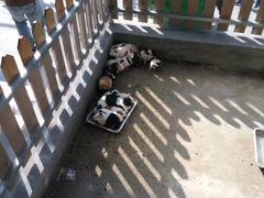 -泉州海丝野生动物世界