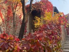 -卧龙堡客栈·中餐厅(古北水镇店)