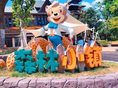 -苏州乐园森林水世界