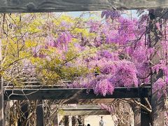 -缥缈峰景区