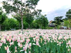 -长春公园(普阳街道)