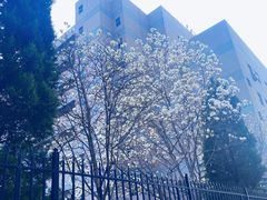-梨园(地铁站)