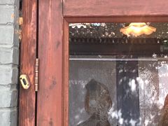 -铃木食堂(帽儿胡同店)
