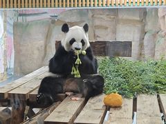 -无锡动物园·太湖欢乐园