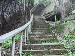 -龙泉洞(沙坪坝区)