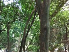 android_upload_pic-金堂县云顶石城风景区