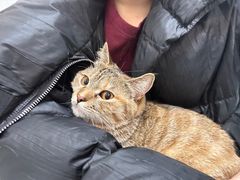 -中农大我爱我爱动物医院·核磁CT·猫病·24小时夜诊中心(石佛营店)