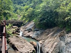 -广州白江湖森林公园