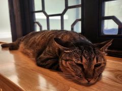 -猫的天空之城概念书店(杭州南宋御街店)