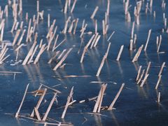 -野鸭湖国家湿地公园