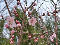 -中关村生命科学园