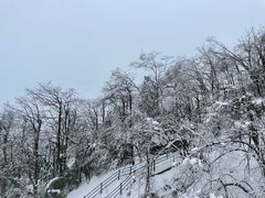 -瓦屋山景区
