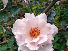 -人民公园(罗湖区)