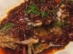 -百姓渔村(南中环店)