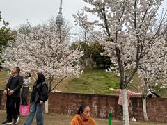 -龟山风景区-龟山电视塔