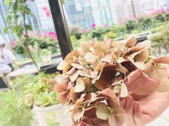 -听香·678茶铺(猛追湾店)