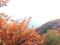 -周口店坡峰岭风景区