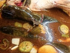 -姥家大锅台水库渔家