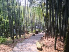 -杭州黄龙洞