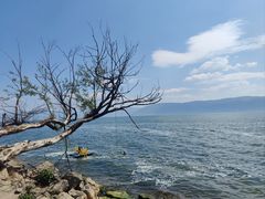 -大理洱海