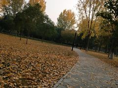 -长安大学(北校区)