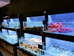 水产区-徐记海鲜(汉城湖|太奥店)