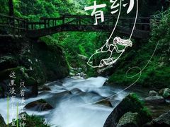 -炎陵县神农谷国家森林公园