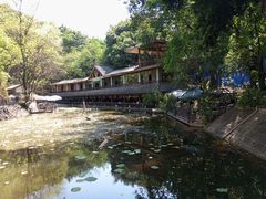 -攀枝花公园