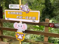 -野象谷景区